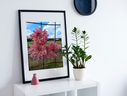 "Stillhet i blom – Dahlia från gården"  Museum-Quality Poster på matt premiumpapper (Imperial)